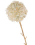 Branche 3 pompons ivoire & or