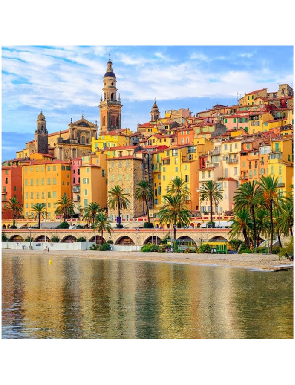 Bois d'olivier de Menton