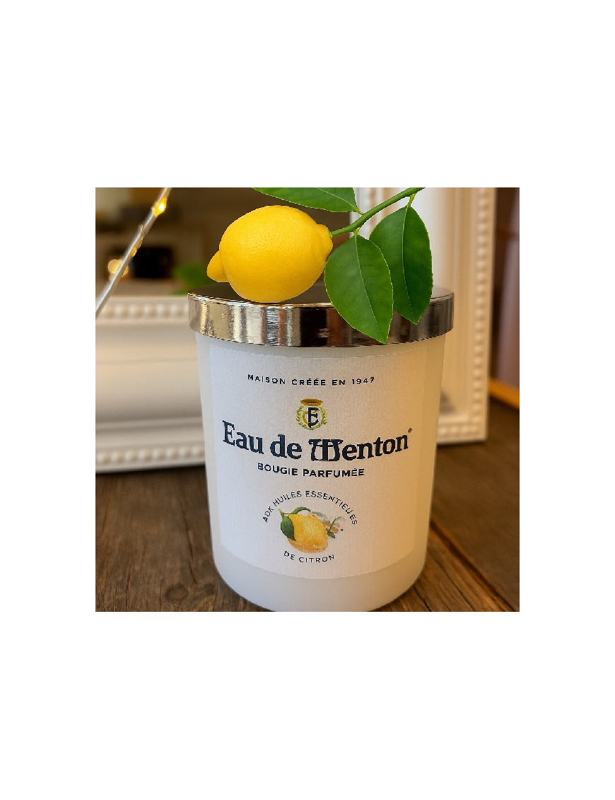 Les citrons de Menton