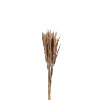 Bouquet de pénisettum