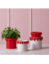 Cache pot love
