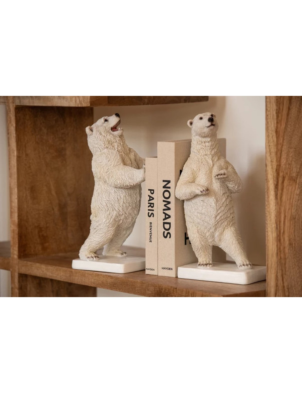 Serres-livres ours polaires