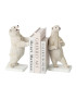 Serres-livres ours polaires