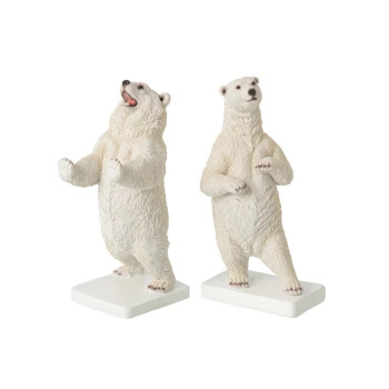 Serres-livres ours polaires