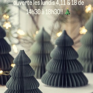 🎄Lundi 4, 11 & 18 décembre la boutique sera ouverte de 14h30 à 18h30!!🎄 #ouvertureexceptionnelle #december #noel #2023 #christmastree #cadeau #decoration #conceptstore #rhonealpes #lyon #grenay #eshop #boutique #stagingalive 😎🎄