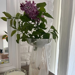 🪻Premier lilas! Et nouveau vase à retrouver à la boutique! Bon mercredi☀️ 

#lilas #premierlilas #faitunvoeux #premierefloraison #leprintempsestlà #flowerphotography #ideedeco #conceptstore #proximité #grenay #stagingalive 😎