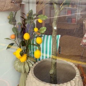 😎 Place aux nouveautés…☀️

🏝️ sacs de plage, pochettes, bijoux, art de la table…senteurs…rendez vous chez @staging_alive pour se faire plaisir ou faire plaisir 🌸

#conceptstores #decoration #artdelatable🍽 #bijoux #senteurs @staging_alive 😎
